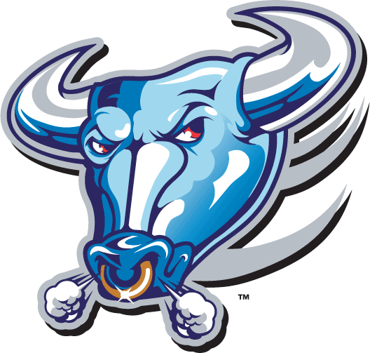 Buffalo Bulls 1997-2006 Alternate Logo iron on transfers for fabric